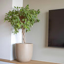 Capi Plantenbak Waste Smooth 43x41 cm terrazzo beige - Drogistdeal.nl